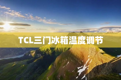 TCL三门冰箱温度调节：让食物保鲜更加智能
