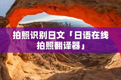 拍照识别日文「日语在线拍照翻译器」