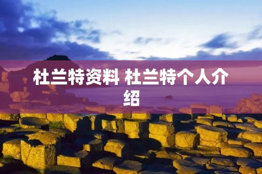 杜兰特资料 杜兰特个人介绍 杜兰特资料 杜兰特个人介绍