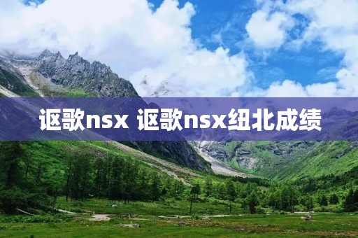 讴歌nsx 讴歌nsx纽北成绩