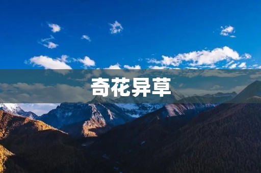 奇花异草:大自然的奇妙创造