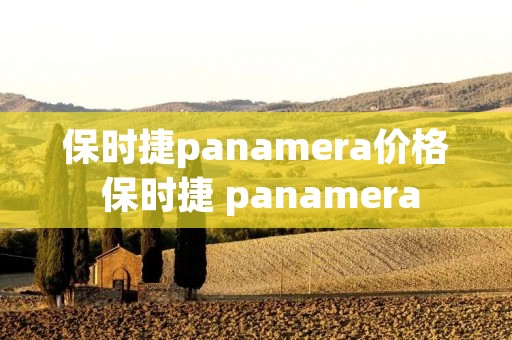 保时捷panamera价格 保时捷 panamera