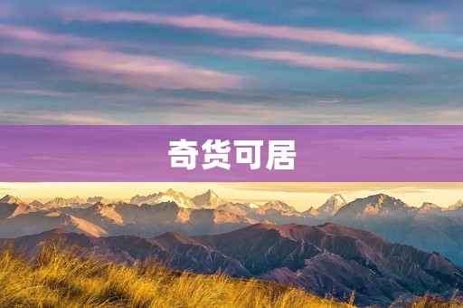 奇货可居:探索独特商品的商机