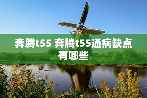 奔腾t55 奔腾t55通病缺点有哪些 奔腾t55 奔腾t55通病缺点有哪些