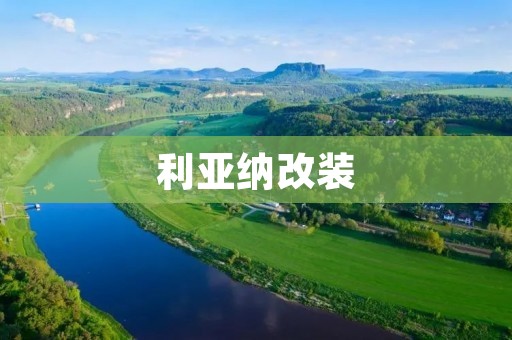利亚纳改装：打造个性化豪华小车