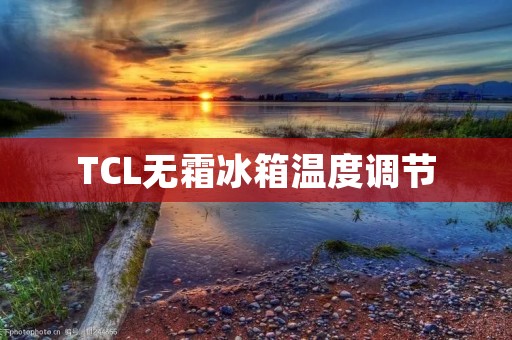 TCL无霜冰箱温度调节：保持食物新鲜的秘诀