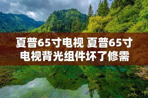 夏普65寸电视 夏普65寸电视背光组件坏了修需要多少钱 夏普65寸电视 夏普65寸电视背光组件坏了修需要多少钱