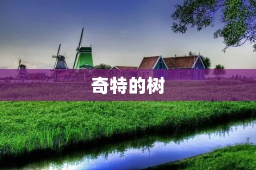奇特的树:自然界的奇迹