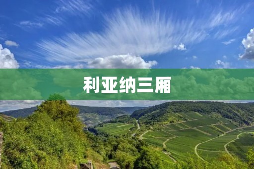 利亚纳三厢:小巧便利的城市代步选择 利亚纳三厢:小巧便利的城市代步选择