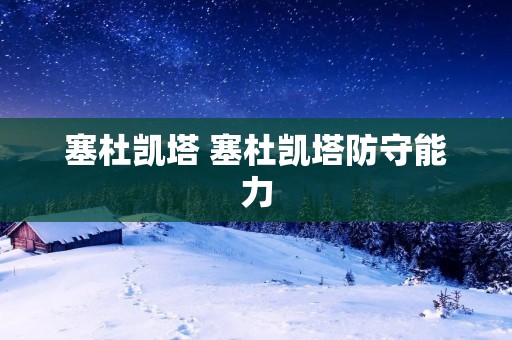 塞杜凯塔 塞杜凯塔防守能力