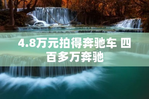 4.8万元拍得奔驰车 四百多万奔驰 4.8万元拍得奔驰车 四百多万奔驰