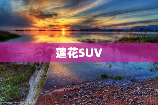 莲花SUV:豪华与性能的完美结合 莲花SUV:豪华与性能的完美结合