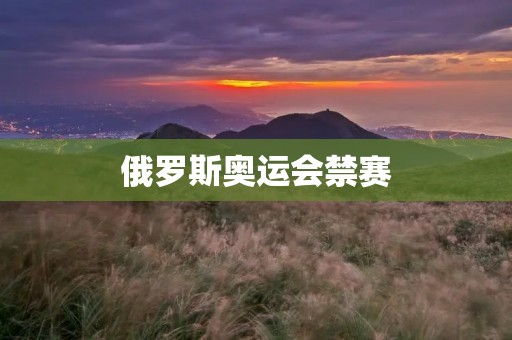俄罗斯奥运会禁赛:体育道德的警钟响起 俄罗斯奥运会禁赛:体育道德的警钟响起