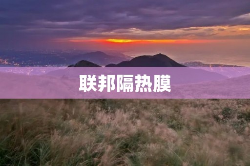联邦隔热膜:提升室内舒适度的创新解决方案 联邦隔热膜:提升室内舒适度的创新解决方案