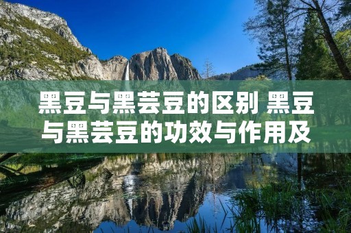 黑豆与黑芸豆的区别 黑豆与黑芸豆的功效与作用及食用方法