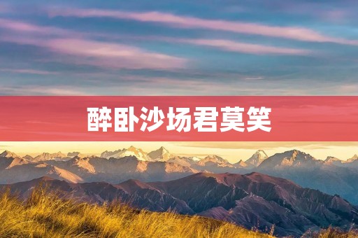 醉卧沙场君莫笑：一个英雄的悲壮与坚韧