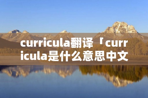 curricula翻译「curricula是什么意思中文翻译」