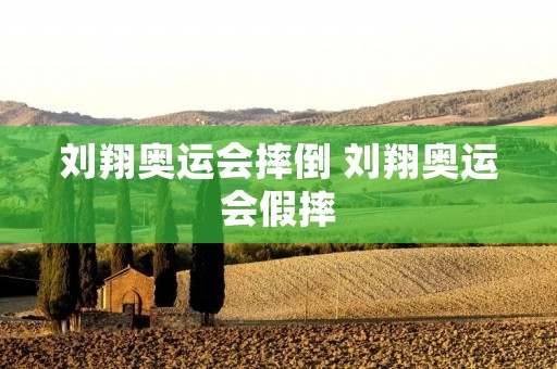 刘翔奥运会摔倒 刘翔奥运会假摔