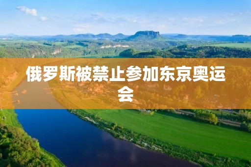 俄罗斯被禁止参加东京奥运会：事件回顾、影响与展望