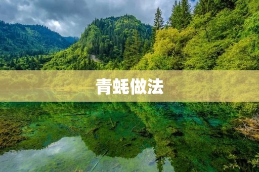 青蚝做法：美味佳肴尽在家中厨房