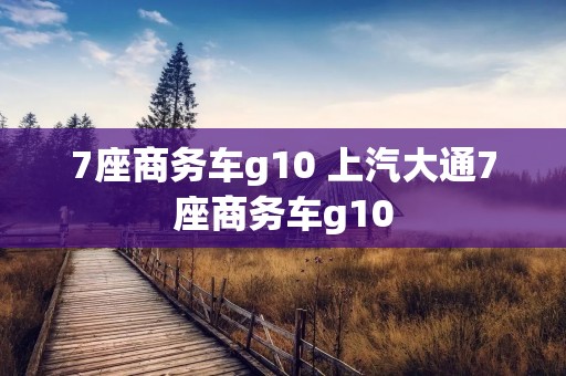 7座商务车g10 上汽大通7座商务车g10