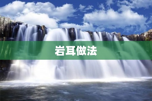 岩耳做法：美味佳肴的制作方法