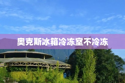 奥克斯冰箱冷冻室不冷冻：原因分析与解决方法
