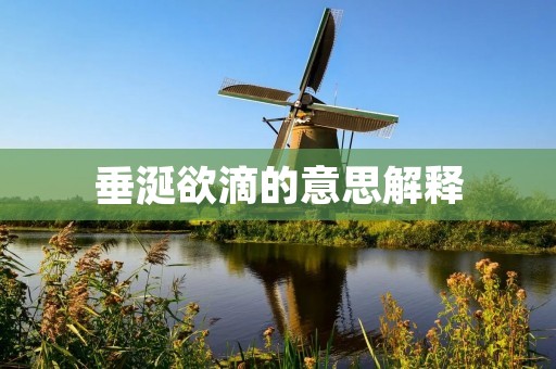 垂涎欲滴的意思解释