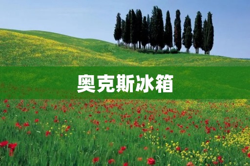 奥克斯冰箱:来自中国的品质之选 奥克斯冰箱:来自中国的品质之选