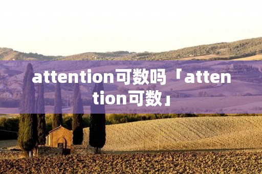 attention可数吗「attention可数」