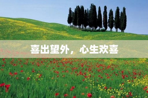 喜出望外，心生欢喜