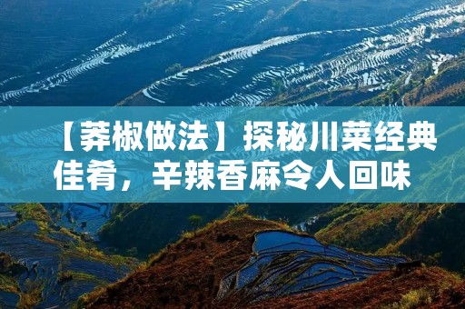 【莽椒做法】探秘川菜经典佳肴，辛辣香麻令人回味无穷