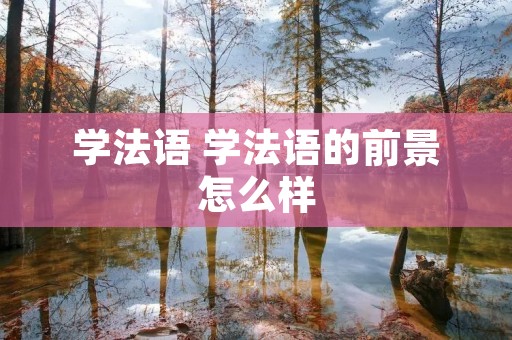 学法语 学法语的前景怎么样 学法语 学法语的前景怎么样