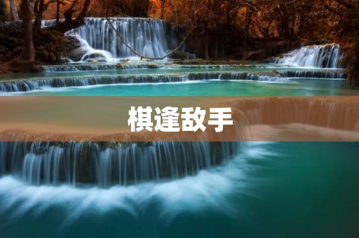 棋逢敌手:智慧与策略的较量
