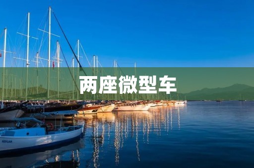 两座微型车:智能电动汽车与传统燃油汽车的比较 两座微型车:智能电动汽车与传统燃油汽车的比较