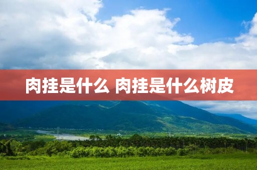 肉挂是什么 肉挂是什么树皮