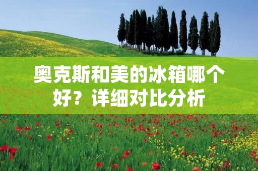 奥克斯和美的冰箱哪个好？详细对比分析