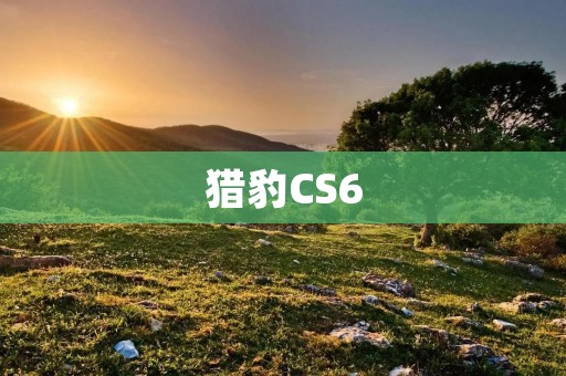 猎豹CS6：突破性能极限的豪华座驾