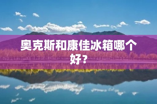 奥克斯和康佳冰箱哪个好? 奥克斯和康佳冰箱哪个好?