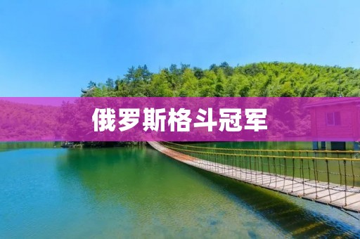 俄罗斯格斗冠军：无坚不摧的战斗之王