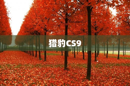 猎豹CS9:豪华SUV中的尖峰之作 猎豹CS9:豪华SUV中的尖峰之作