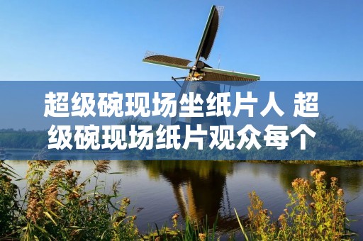 超级碗现场坐纸片人 超级碗现场纸片观众每个100美元 超级碗现场坐纸片人 超级碗现场纸片观众每个100美元