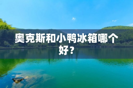 奥克斯和小鸭冰箱哪个好？