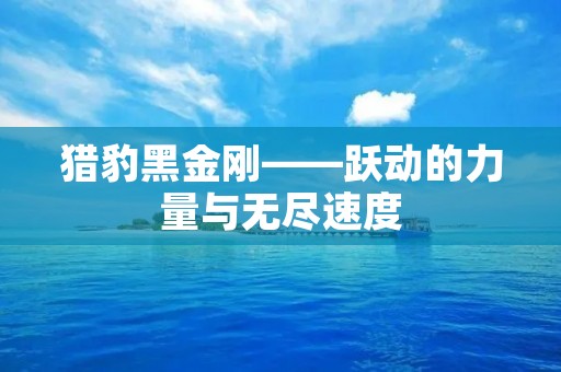 猎豹黑金刚——跃动的力量与无尽速度 猎豹黑金刚——跃动的力量与无尽速度