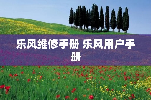 乐风维修手册 乐风用户手册