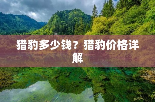 猎豹多少钱？猎豹价格详解