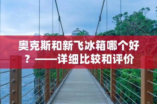 奥克斯和新飞冰箱哪个好？——详细比较和评价