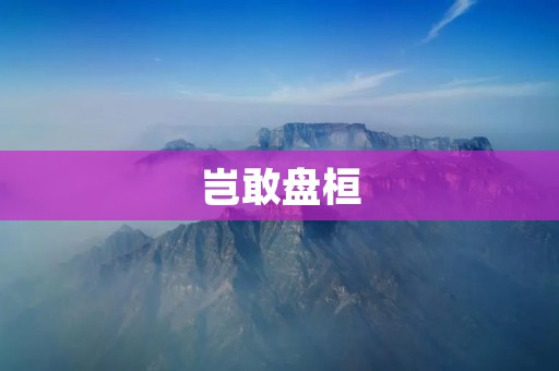 岂敢盘桓:追寻梦想的勇气与坚持