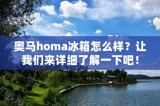 奥马homa冰箱怎么样?让我们来详细了解一下吧! 奥马homa冰箱怎么样?让我们来详细了解一下吧!