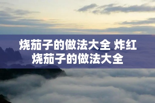 烧茄子的做法大全 炸红烧茄子的做法大全